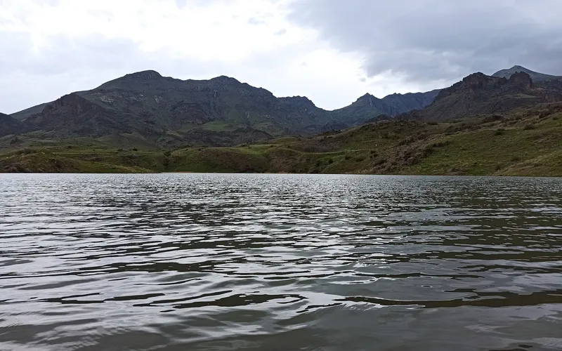 Եղեգնալիճ
